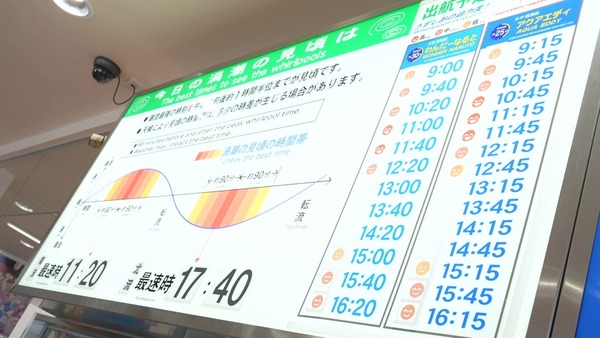 自駕德島丨黎諾懿鳴門海邊歎海鮮餐 陳懿德郭珮文享受祖谷溫泉