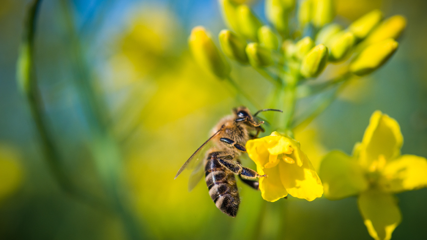 相片來源：iStock
