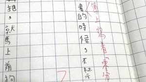 有學生在功課簿訴苦，稱見到默書已害怕。(網上圖片)