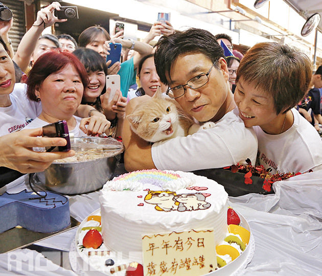 忌廉哥是少數可讓人近距離接觸的明星貓，搞生日會時吸引大批Fans到場。（iMoney智富雜誌）