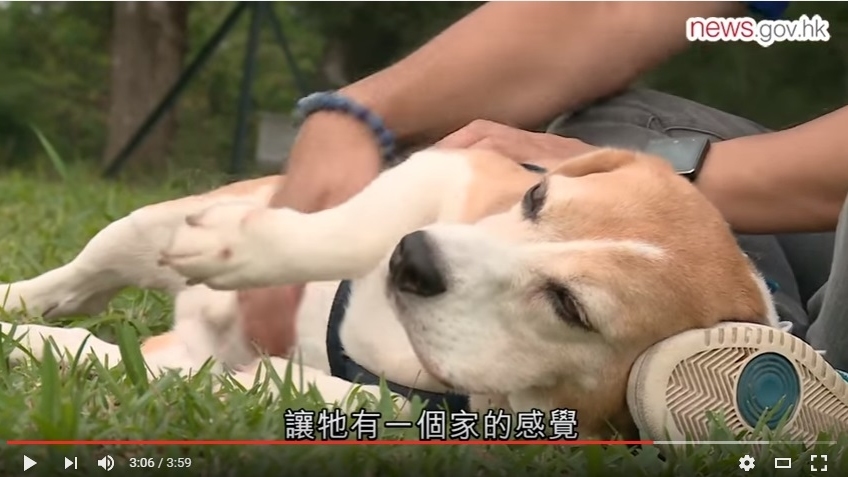 政府新聞處圖片