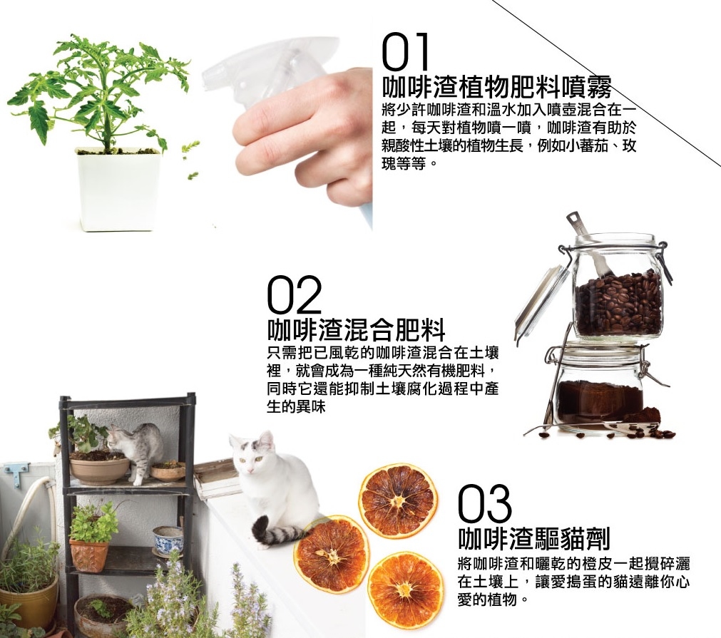相片來源：Pacific Coffee網頁截圖