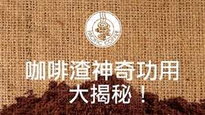 相片來源：Pacific Coffee網頁截圖