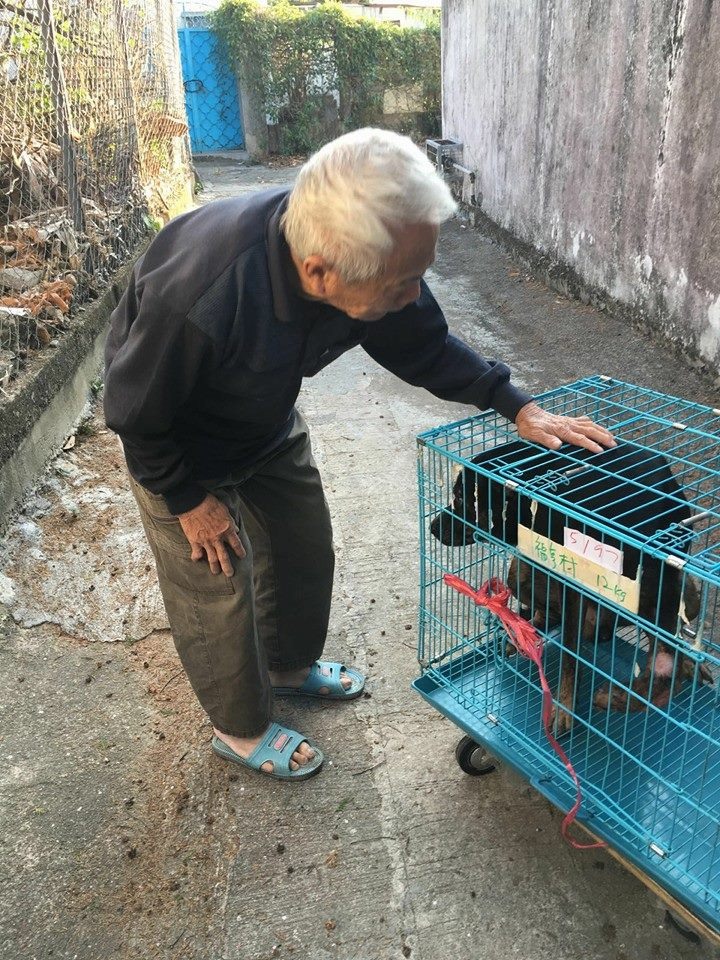 老伯伯因緣收養在村內流浪的八千，一人一狗感情要好，惟伯伯年紀老邁，無力再照顧八千，冀有心人給八千1個永久安全的家。（相片來源：動物朋友Facebook專頁）