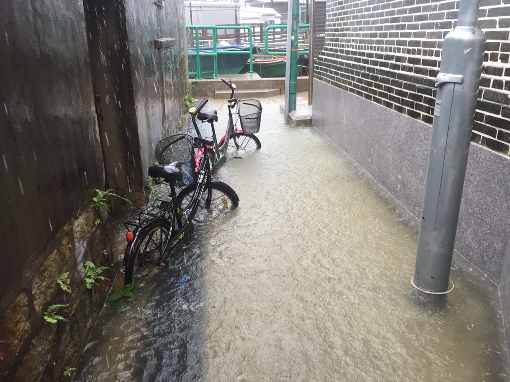 水浸掩蓋半個單車車輪。（謝世傑提供相片）