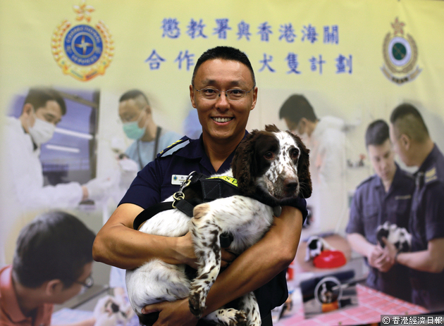 辛苦新手狗媽媽Atom，順利誕下7隻可愛的幼犬。（經濟日報記者梁偉榮攝）
