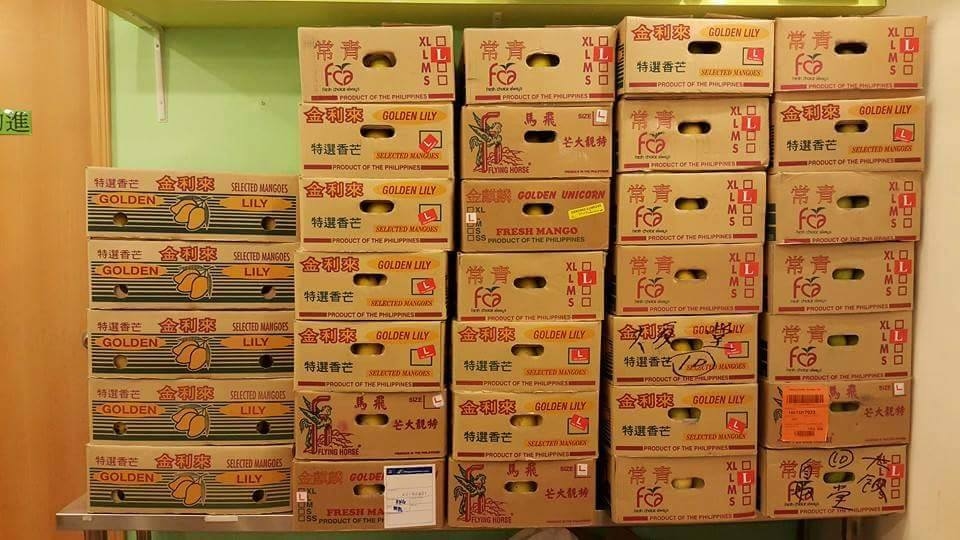 阿輝指，甜品最重要是用靚水果，而且要放到熟便最甜，圖為店內大批芒果存貨。(大飯糖facebook圖片)