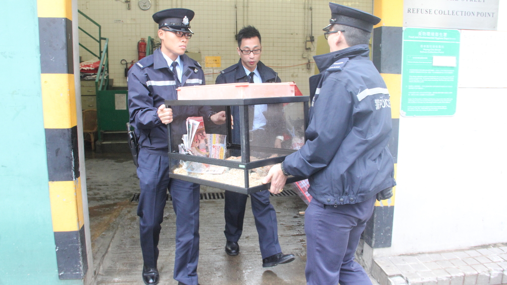 警員將兩條蜥蝪連同玻璃缸搬走