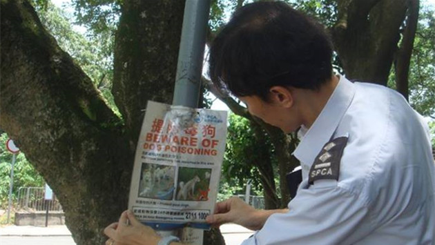 香港愛護動物協會提供圖片
