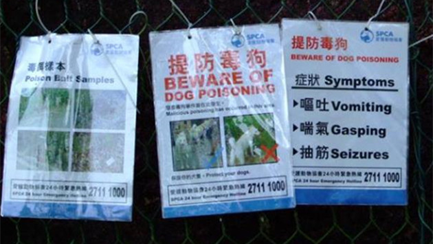 香港愛護動物協會提供圖片