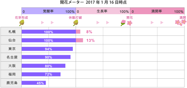 (相片來源：日本氣象株式會社網站)