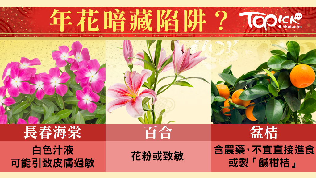 年花暗藏健康陷阱 百合花可加劇鼻敏感 香港經濟日報 Topick 健康 健康資訊 D