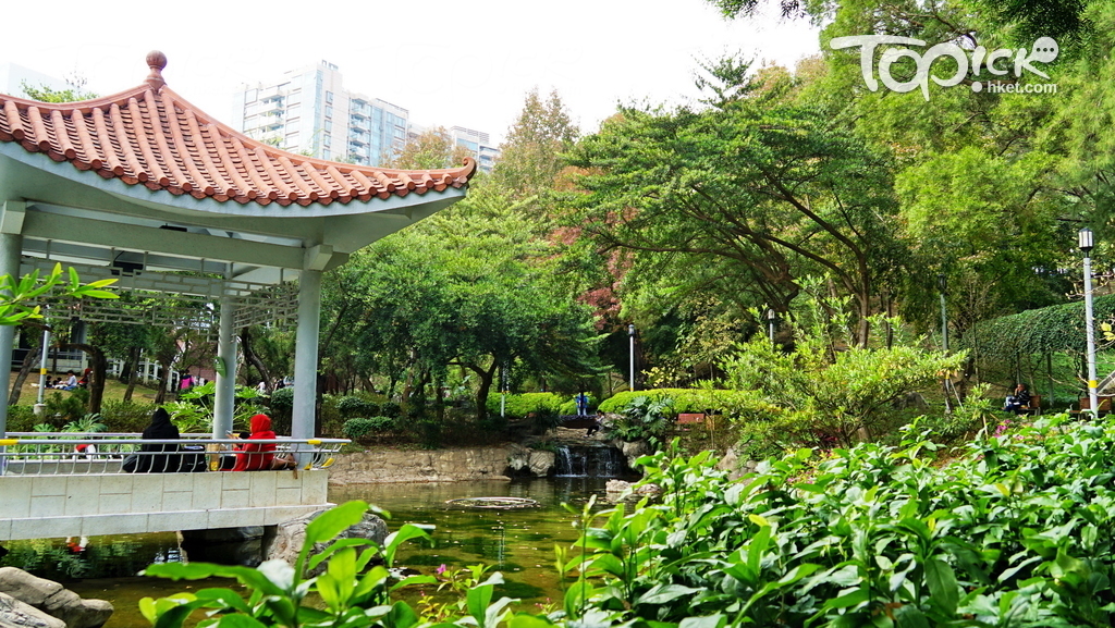 歌和老街公園內在漂亮的亭台流水映襯下的紅葉特別漂亮。（陳若冰攝）