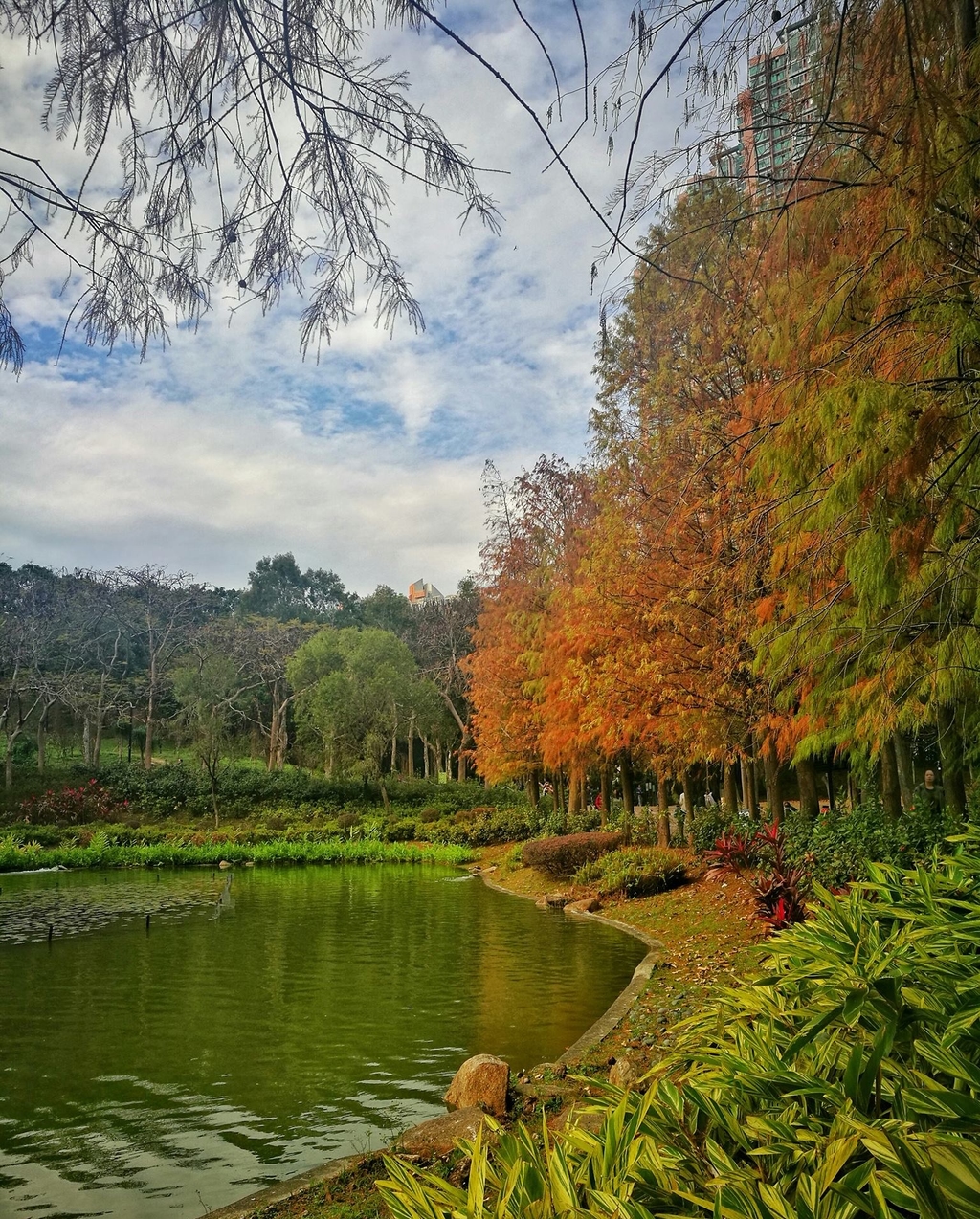 公園內有人工瀑布及湖泊。（Howard Tong mobile photography提供相片）