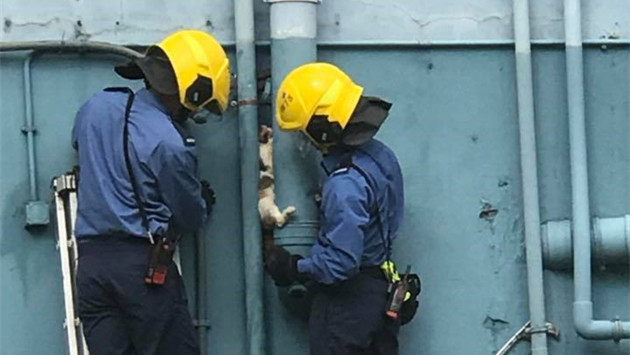 香港突發事故報料區fb圖片