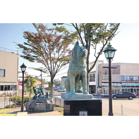 秋田犬：大館豎八千公銅像