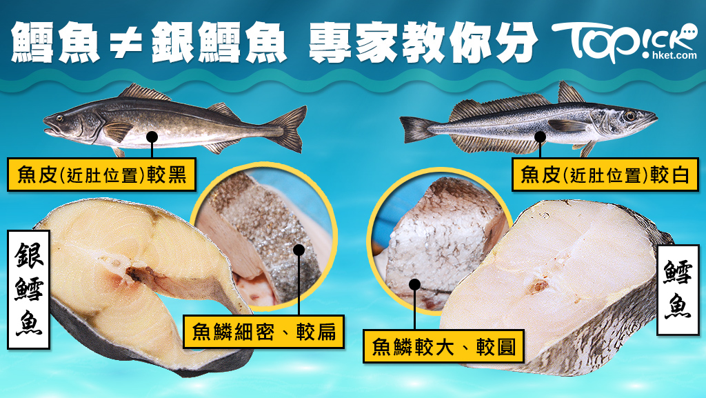 急凍鱈魚 銀鱈魚價錢大不同專家教你點樣分 有片 香港經濟日報 Topick 休閒消費 D