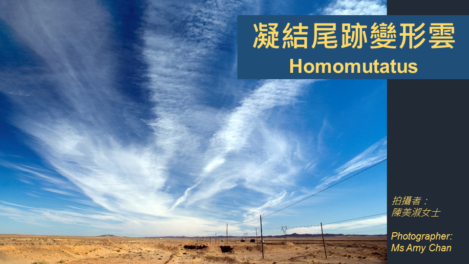 凝結尾跡變形雲。（陳美淑攝、天文台提供）