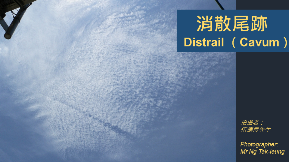 消散尾跡雲。（伍德良攝、天文台提供）