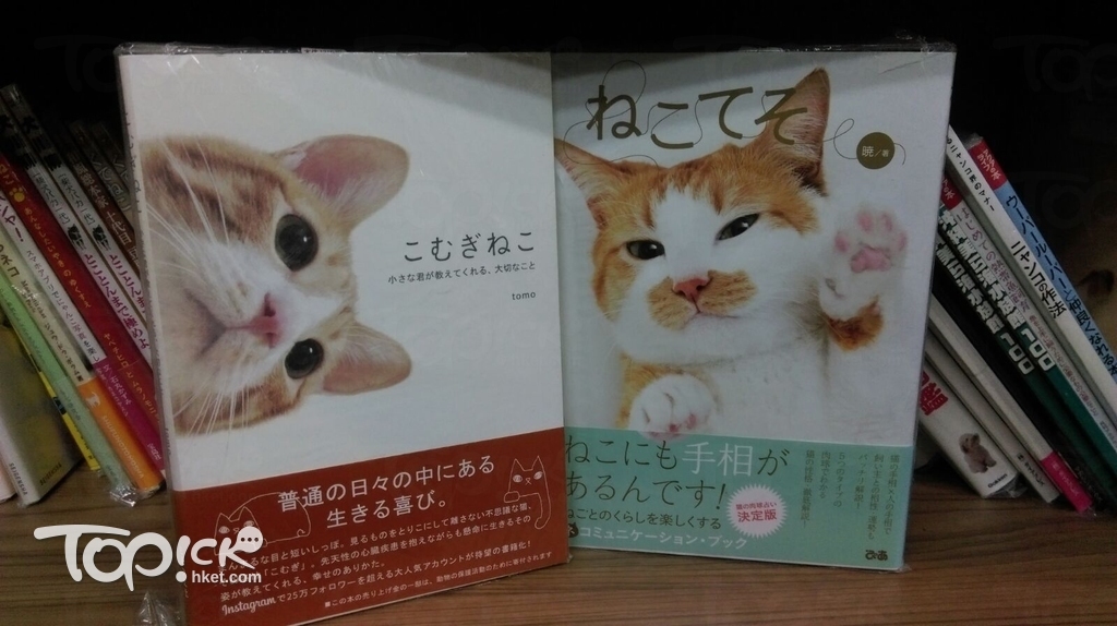店內有不少寵物書出售，教睇貓貓肉球（手相）的書也有。（鄧穎琳攝）