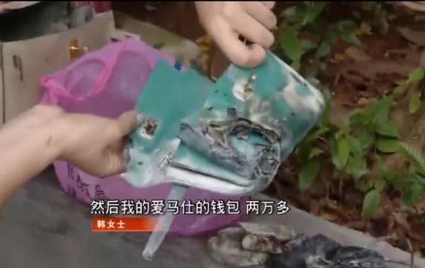 相片來源：深圳衛視截圖