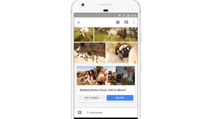 相片來源：Google網頁截圖