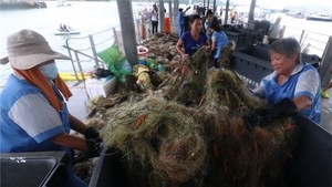 由市民自發組織的「鬼網殺手」，上周在西貢碼頭對出的羊洲撈起重約7.5噸的鬼網，塞滿15個大垃圾收集箱。（陳智良攝）
