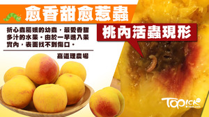 有市民發現購自超市的韓國桃內內藏活蟲。