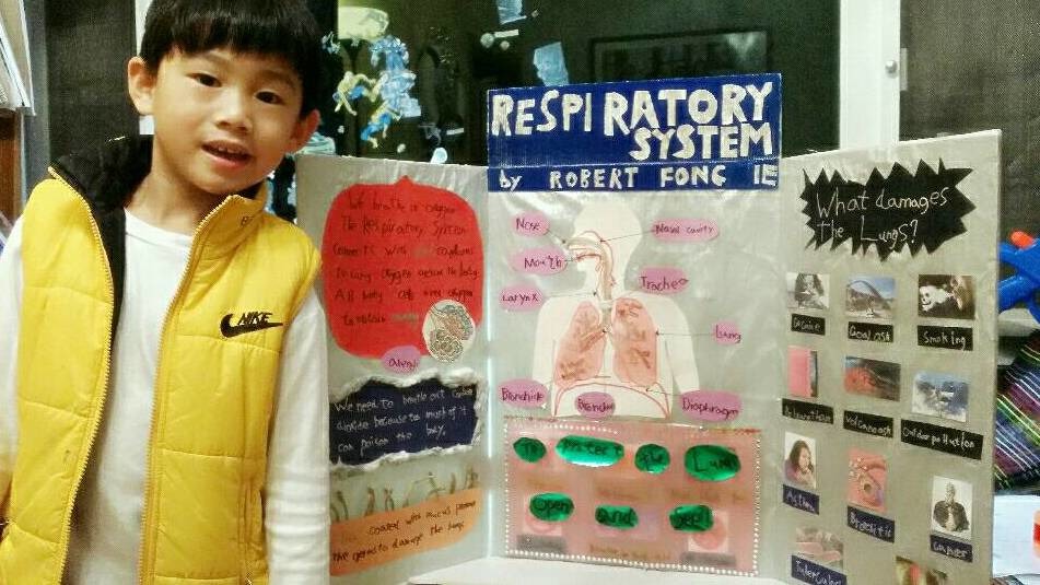 學校語文和科學用專題研習鼓勵自學，孩子可自由選擇主題，今年小四的Robert小一時便選了研究呼吸系統，細心製作展板。(由受訪者提供)