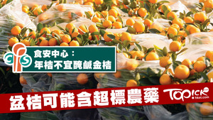 食物安全中心不建議市民摘下觀賞年桔食用或製作食品。（經濟日報資料圖片）