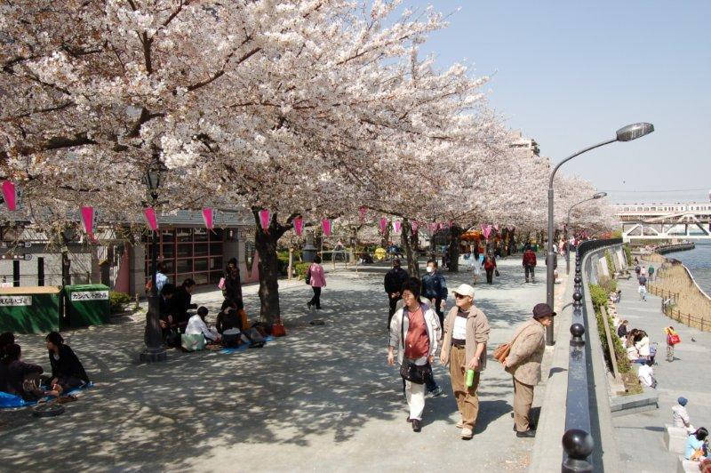 隅田川就在淺草附近。(被訪者提供)