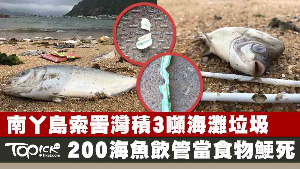 逾400名義工清理南丫島索罟灣時發現海洋垃圾積近3噸，更在岸邊發現逾200條海魚疑因誤將飲管當食物而鯁死。