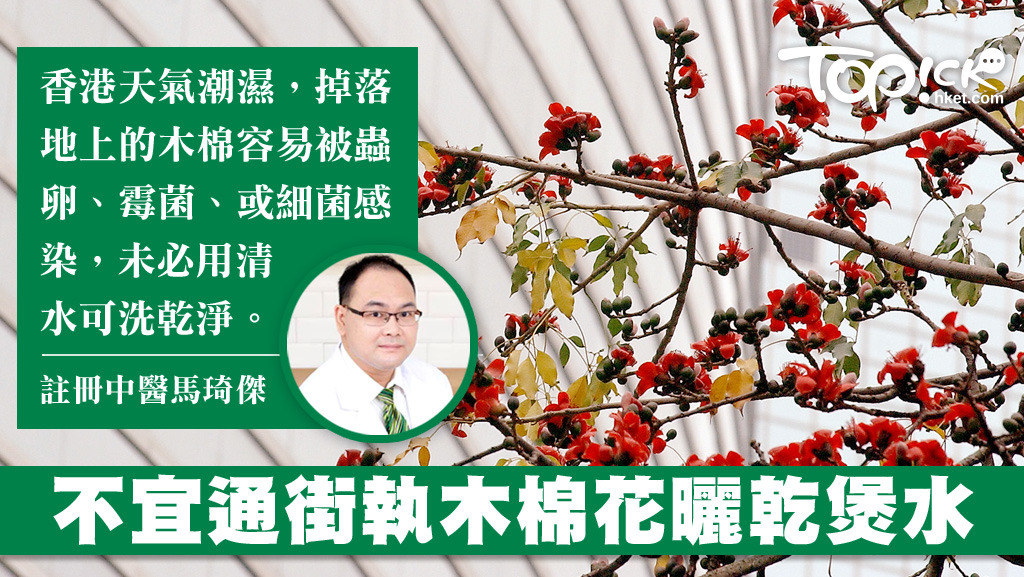 中醫師指，掉地木棉花易被細菌感染，不宜通街拾木棉花曬乾煲水。