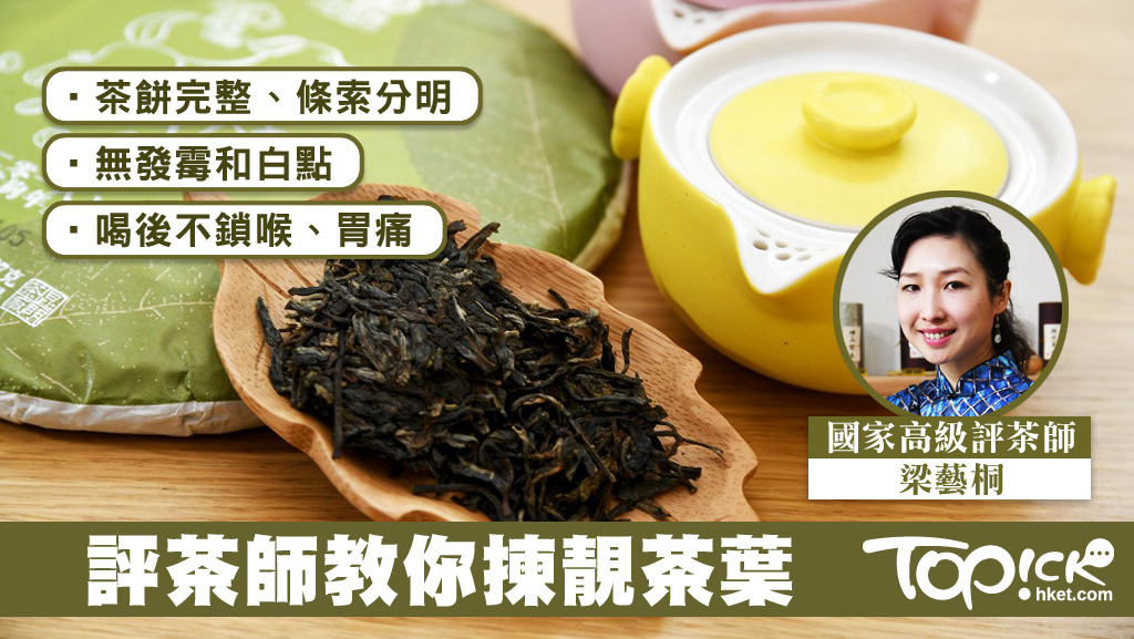 揀靚普洱茶葉有何秘訣？由國家高級評茶師梁藝桐話你知。