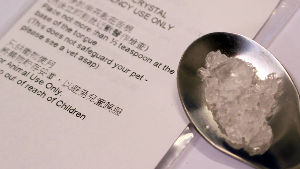 愛協提醒如中毒狗隻反白眼或抽筋不適合以梳打粒催吐。(愛協fb圖片)