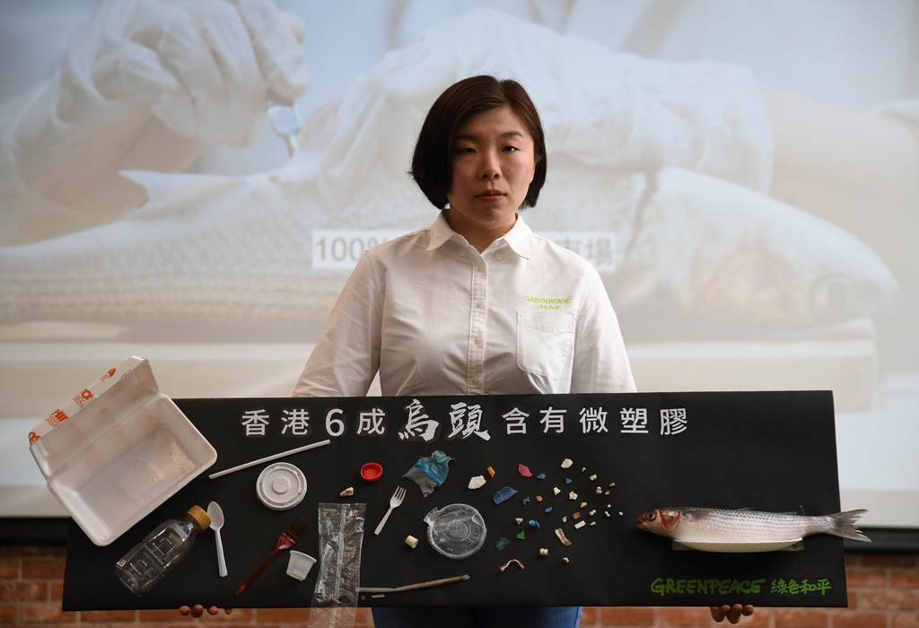 綠色和平項目主任陳可淳解釋，沉積物受到微塑膠污染，烏頭正是在海底沉積物覓食的常客，其他青口、龍蝦、丁香魚和蠔等都含有微塑膠。(程志遠攝) 