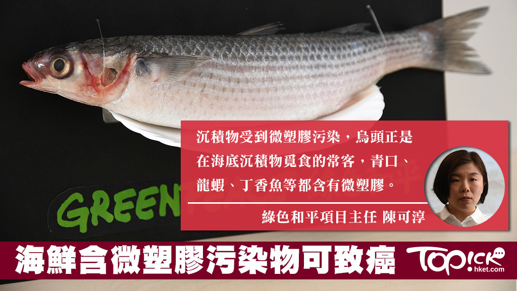 綠色和平引述教大研究顯示，6成烏頭都含微塑膠，其中1條含多達80片塑膠。