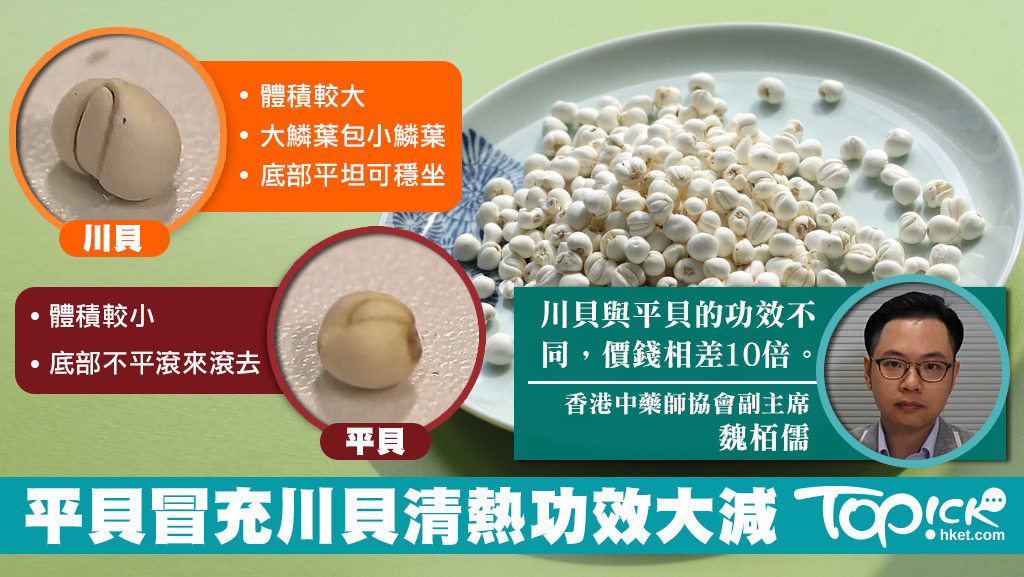 香港中藥師協會副主席魏栢儒指出，購買川貝前可從結構、體積分辨，以免買錯平貝。