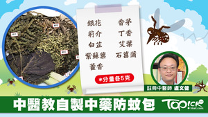 註冊中醫盧文健教自製中藥防蚊包。