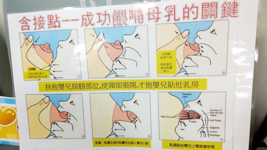 餵母乳成功關鍵6步驟