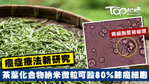 英國跟印度大學的最新聯合研究發現，茶葉與化合物合成、較納米更細的「量子點」微粒，能破壞癌細胞壁、抑制肺癌細胞生長。