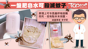 部份肥皂水的香氣可吸引蚊子產卵，令蚊子「中招」、呼吸困難，從而達到滅蚊效果。