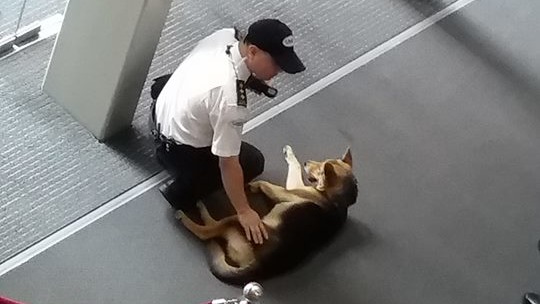 香港突發事故報區fb圖片