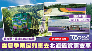 北海道富良野的富田農場薰衣草。
