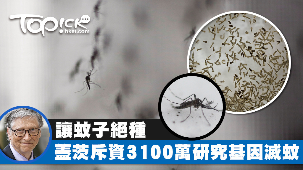 比爾·蓋茨的基金會斥資410萬美元投資一間基因工程公司，改造雄性蚊子的基因，令蚊子滅絕。