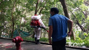 食環署人員到獅子山公園滅蚊