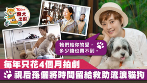 內地著名視后孫儷除了是一名實力演員外，她也是一名滿戴愛心的主人，且領養了不少流浪動物。