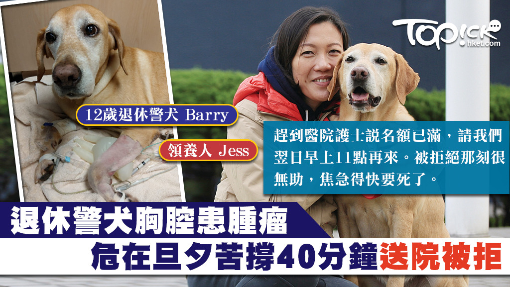 退休警犬Barry日前確診胸腔患有腫瘤，病發當天卻因滿額被拒入院，令Jess心如刀割，形容此刻「永世難忘」。
