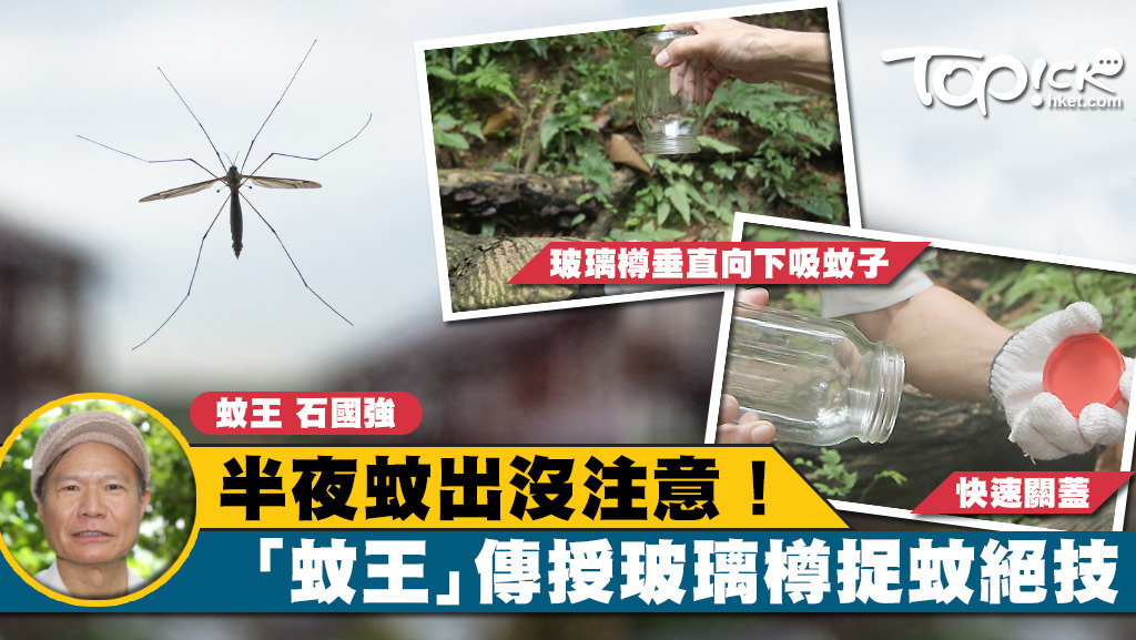 「蚊王」石國強稱一般人較難徒手捉蚊，他教大家用玻璃樽輔助。