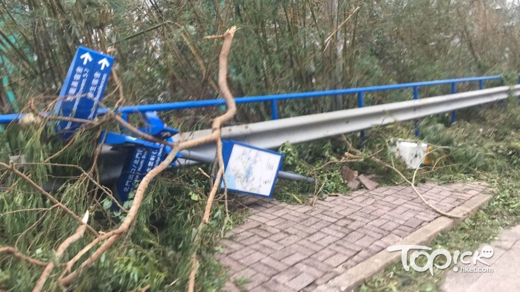 科大校園內，路邊有路牌倒塌。（林曉晴攝）